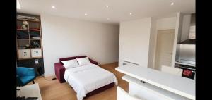 a room with a bed and a couch in it at Logement entier rue Sainte Catherine in Bordeaux