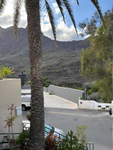 a palm tree with a view of a mountain at Apartamento Danoe 4 in Mogán