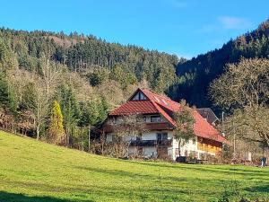 a house with a red roof in a field at Unterer Gurethshof in Zell am Harmersbach