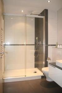 a bathroom with a glass shower with a toilet at Apartment für 3, nicht für Monteure in Niederau