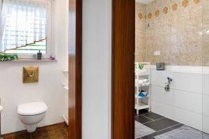a bathroom with a toilet and a shower at Ferienwohnung Marie in Niedereschach +16 photos