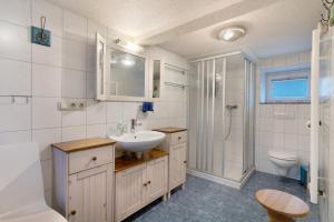 a bathroom with a sink and a shower and a toilet at Grünes Ferienhaus in Nassau +36 photos
