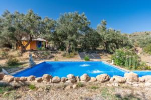 a blue swimming pool in a field with trees at Cabaña Shadú in Lanjarón +22 photos