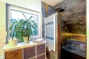 a bathroom with a window and a plant on a dresser at The House Stiller Grund in Hohenfließ +23 photos
