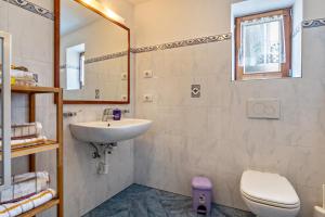 a bathroom with a sink and a toilet and a mirror at Stöcklhuberhof in Vandoies