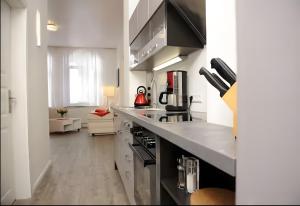 a kitchen with a stove and a counter top at Ferienwohnungen Wiese - Nickel 1 in Arnis