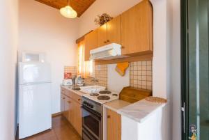 a small kitchen with a stove and a refrigerator at Dolphin villa 3 in Gaios