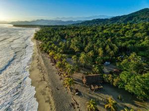 an aerial view of a beach with palm trees at Natyva House in Guachaca