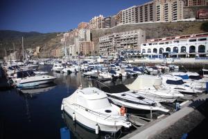 Φυσικό τοπίο κοντά σε αυτό το διαμέρισμα