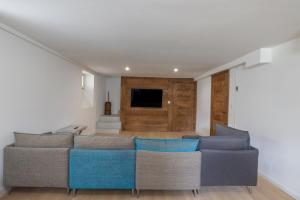 a living room with a couch and a television at Chalet La Llyre Vallorcine in Vallorcine