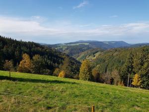 a green field with trees and hills in the background at Ferienwohnungen Schönwald in Schönwald
