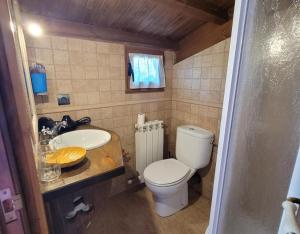 a small bathroom with a toilet and a sink at El Camino in Molinaseca