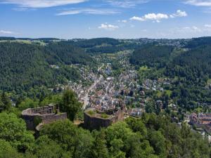 an old castle in the middle of a forest at Haus Schiltach in Schramberg