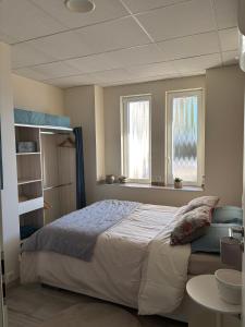 a bedroom with a large bed and two windows at Appartement Calina in Freyming