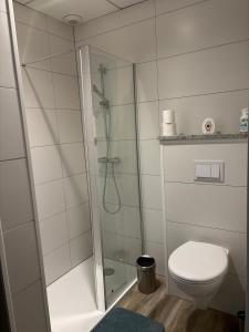 a bathroom with a shower and a toilet at Appartement Calina in Freyming +5 photos