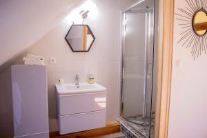 a bathroom with a sink and a shower at Chambres D'hôtes Le Petit Puits in Cheverny +39 photos