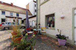 a patio with a bunch of potted plants next to a building at Wohnung Im Hinterhof in Querfurt