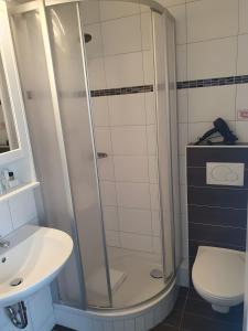 a bathroom with a shower and a toilet and a sink at Hotel Sonnenhof in Illertissen +6 photos