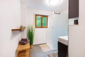 a small bathroom with a sink and a window at Ferienwohnung Sonnenberg in Degerfelden +16 photos