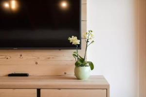 a vase with flowers on a table in front of a tv at Natur Suite Edelweisshof App Tony in Chiusa