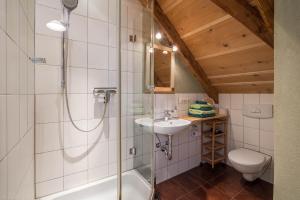 a bathroom with a shower and a sink and a toilet at Ferienwohnung Wachsbichl in Unterammergau