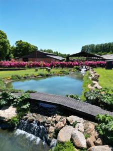 a bridge over a pond in a garden at Hotel Gran Wolf - Haras Santa Amelia in Negrete