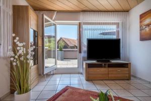 a living room with a flat screen tv on a wooden cabinet at Haus Schussenblick Og in Eriskirch