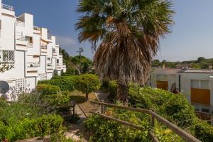 a palm tree in front of a building at Brava Beach in Platja d'Aro