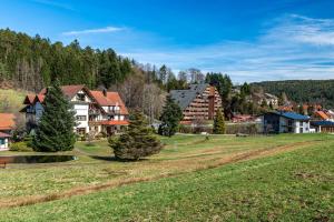 a village in the mountains with houses and a field at Schwarzwald Wölkchen in Baiersbronn