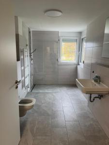 a bathroom with a toilet and a sink at Lakeview Residence in Schluchsee +36 photos