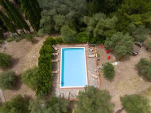 an overhead view of a swimming pool in a park at Villa I Tigli - Pervinca in Campiglia Marittima