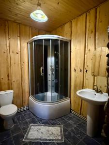 a bathroom with a shower and a toilet and a sink at Гуцульська оселя in Yaremche