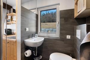 a bathroom with a sink and a window at Ferienhaus Fenzl in Johanngeorgenstadt +20 photos