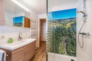 a bathroom with a shower and a sink at Haus Schöneck in Todtnauberg +81 photos