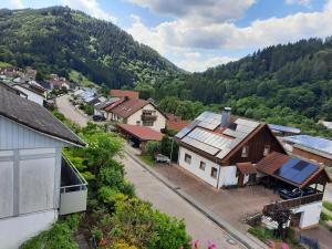 an aerial view of a small town with a mountain at Haus Huber in Wolfach