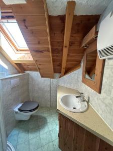 a bathroom with a toilet and a sink at Chalet Moulinot in Valloire