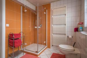a bathroom with a shower and a toilet at Ferienwohnung Steinhilber 1 in Eriskirch +21 photos