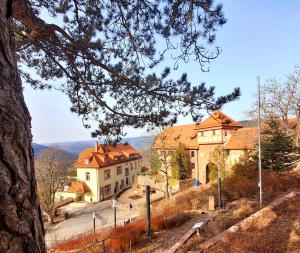 a large building with orange roofs on a hill at Charming House in Neckargemünd