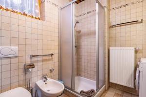 a bathroom with a shower and a toilet and a sink at Thomasegg Hof Linde in Sarntal +25 photos