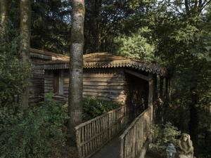 an old log cabin in the woods with a tree at Domaine du Boisniard in Chambretaud