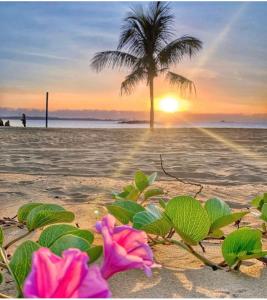 a palm tree and pink flowers on a beach at Hotel da Praia in Vila Velha