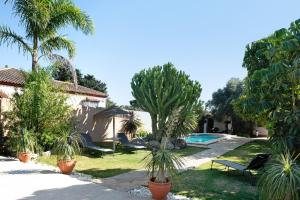 a garden with palm trees and a swimming pool at Chalet Rural El Chorrillo in Conil de la Frontera