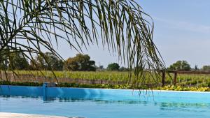 a palm tree in front of a swimming pool at Casa Castelão in Palmela
