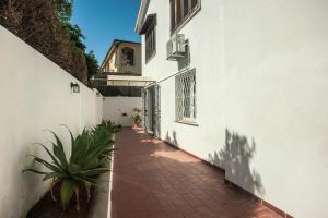 a hallway of a white building with a plant at Piccola casa Marina in Villa San Pietro