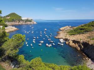 eine Gruppe von Booten in einem Gewässer in der Unterkunft Mareva in Begur