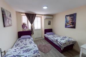 a bedroom with two beds and a window at Old street 2 in Podgorica