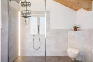 a bathroom with a shower and a toilet at Ferienwohnung Schwaiger Almblick in Bad Tölz +30 photos