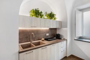 a kitchen with a sink and two plants above it at Lubrense Signature Suites in Massa Lubrense +54 photos
