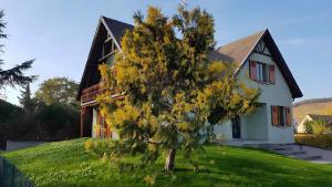 a house with a tree in front of it at Gîte La Maison De Caroline, Spa in Sigolsheim