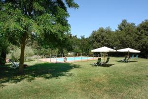 a swimming pool with chairs and umbrellas in a park at La Cerretola in Città della Pieve